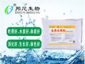 玉米發(fā)酵劑